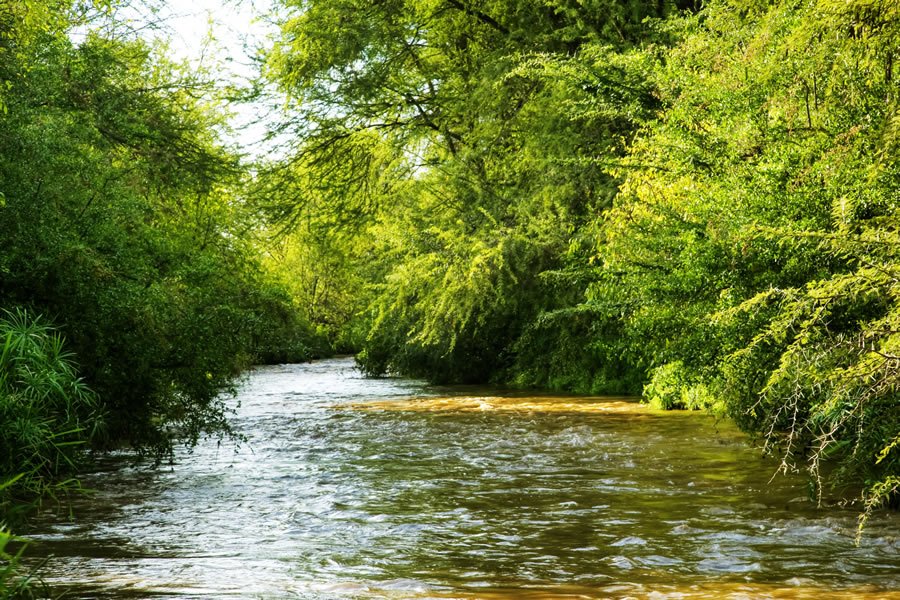 Meru National Park / Picture courtesy of KWS