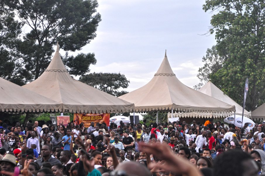 Blankets and Wine XL