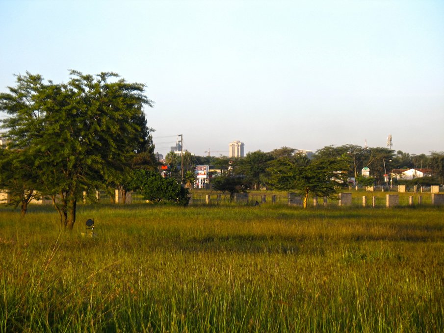 Uhuru gardens