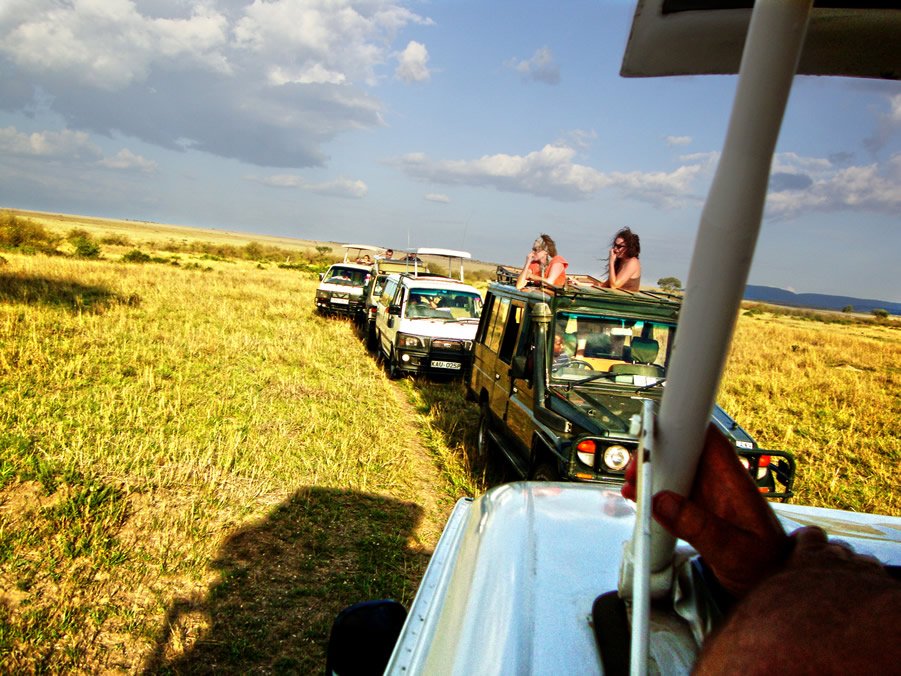 Game drive