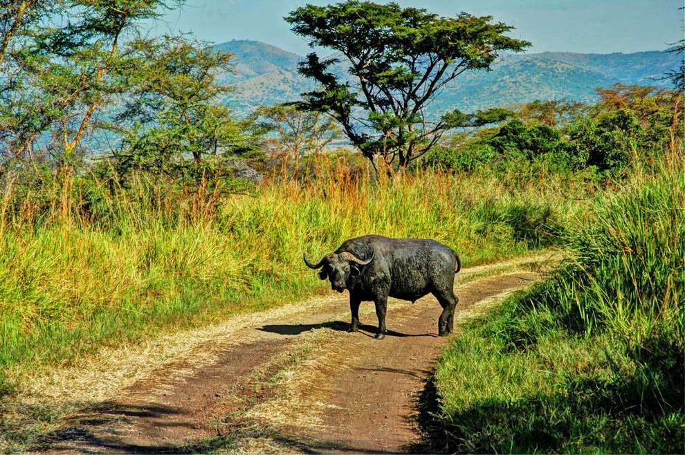 Ruma National Park_get outta ma space