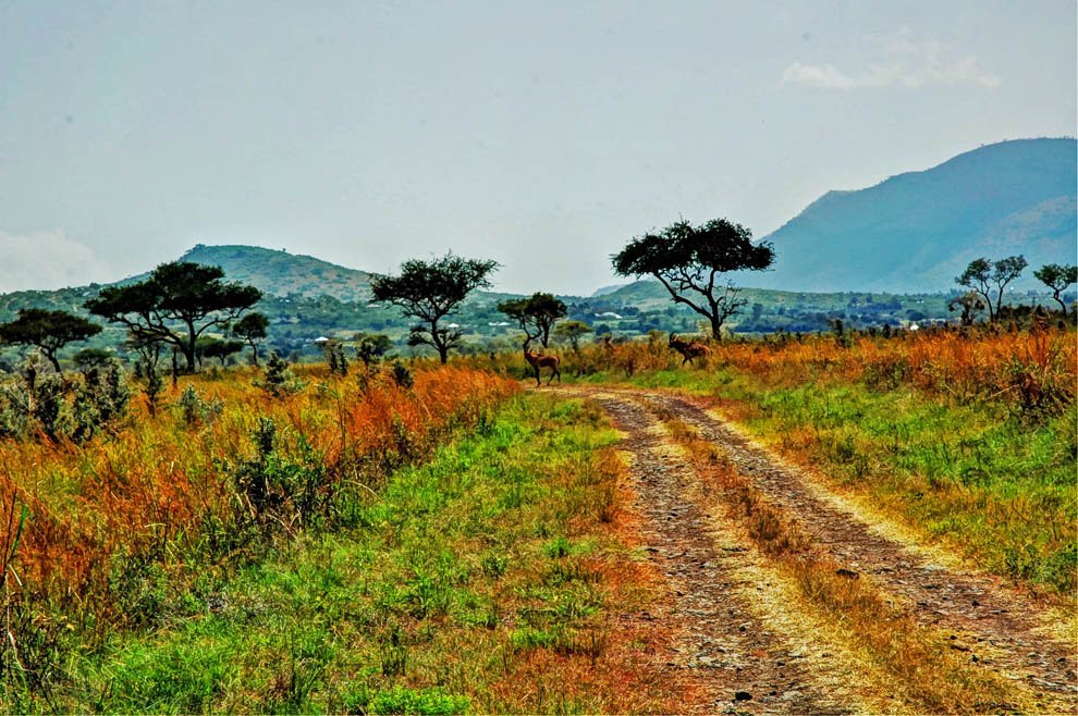 Ruma National Park_road