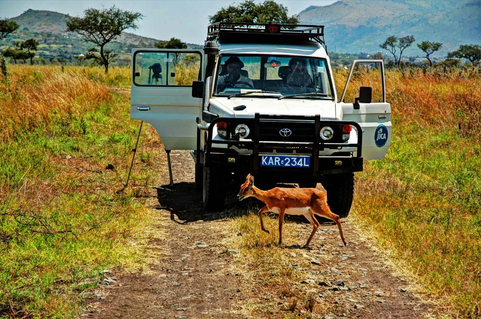 Ruma National Park_tour suv