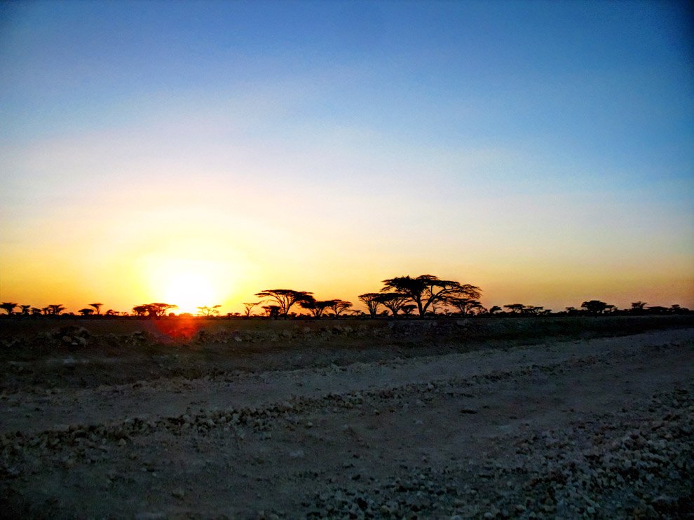 Chalbi Desert_Desert road