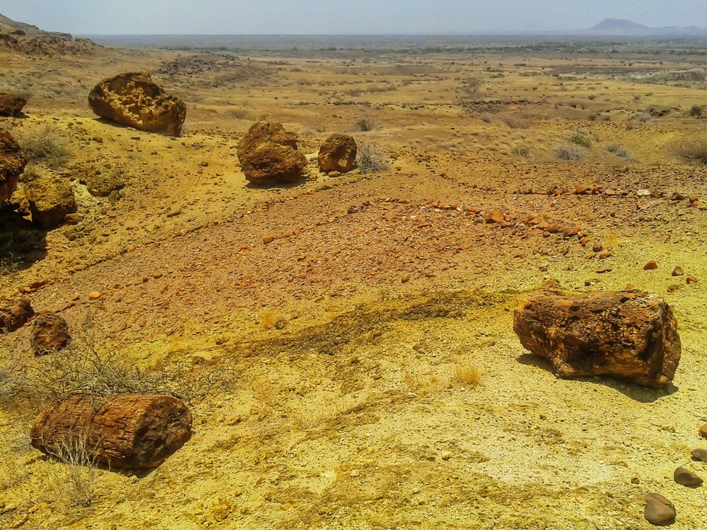 Sibiloi National Park_Petrified Forest path