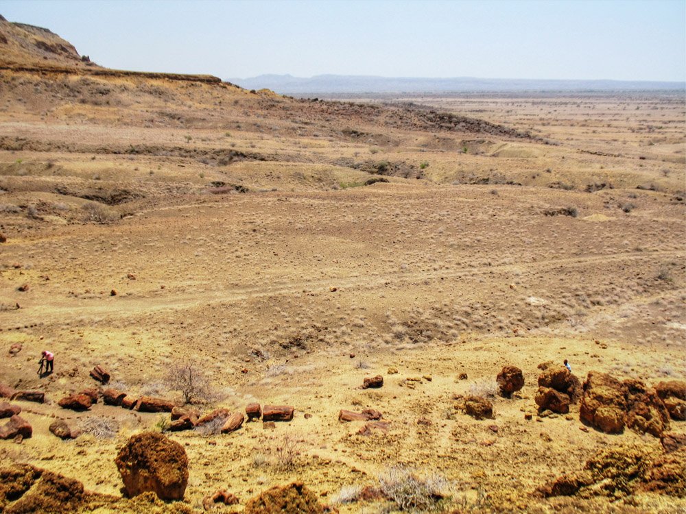 Sibiloi National Park_Petrified Forest view