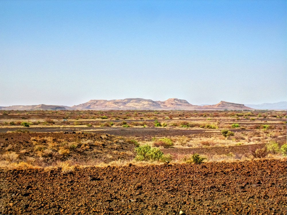 Sibiloi National Park_Petrified Forest