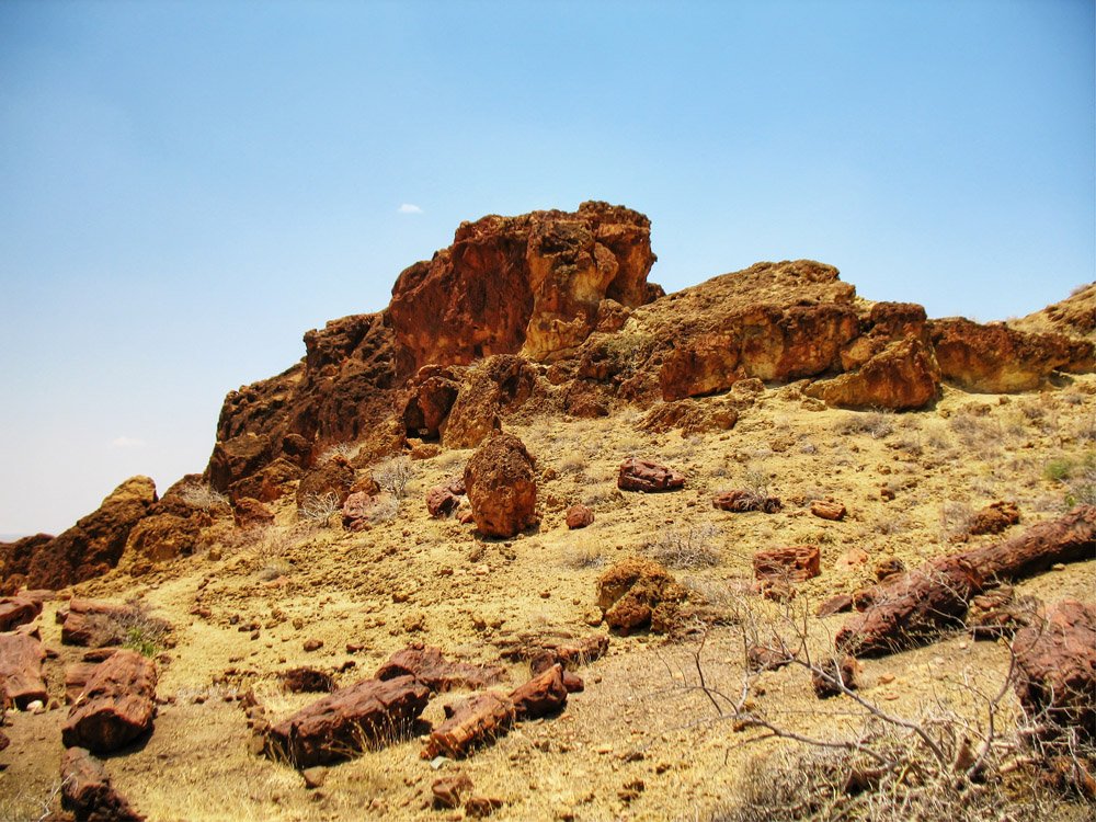 Sibiloi National Park_Petrified Forest1