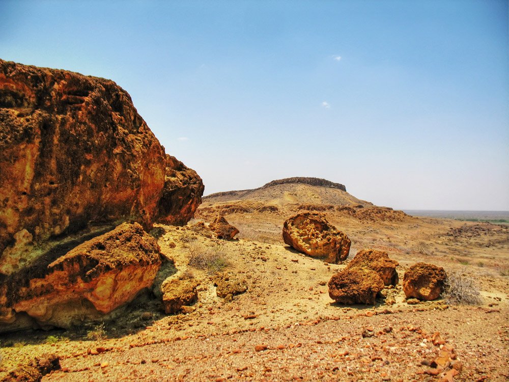Sibiloi National Park_Petrified Forest10