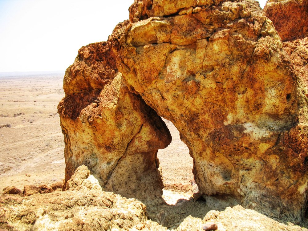 Sibiloi National Park_Petrified Forest5