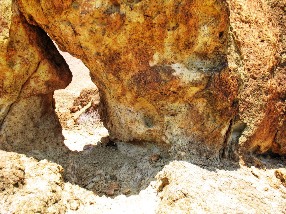 Sibiloi National Park_Petrified Forest6