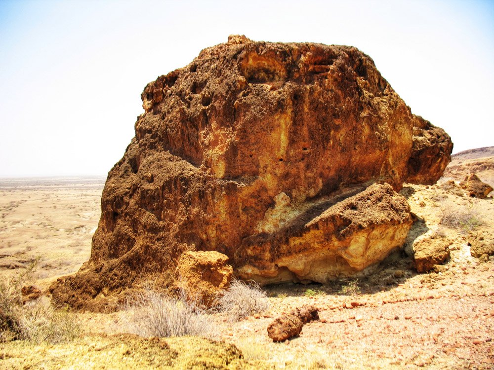 Sibiloi National Park_Petrified Forest9
