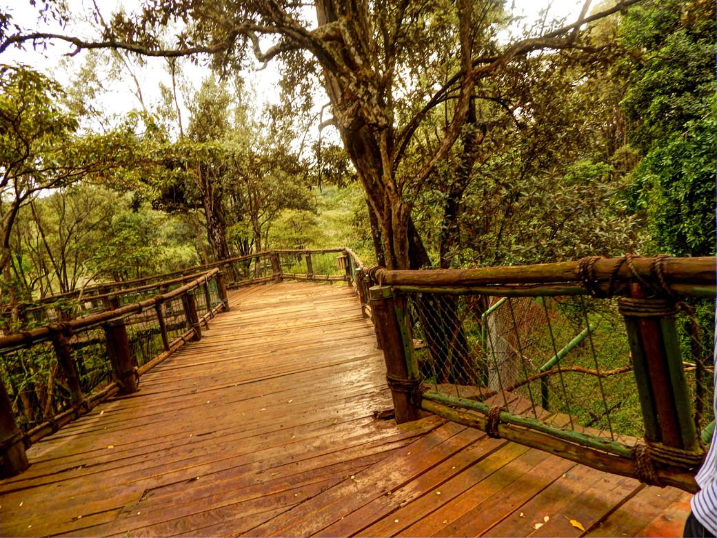 Nairobi Safari Walk_boardwalk2