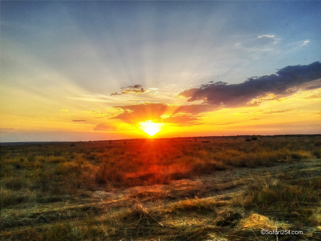 Northern Kenya_Koobi Fora