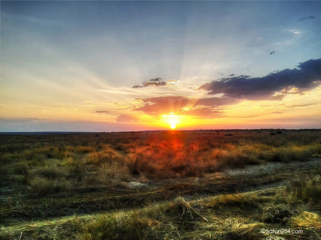 Northern Kenya_Koobi Fora2