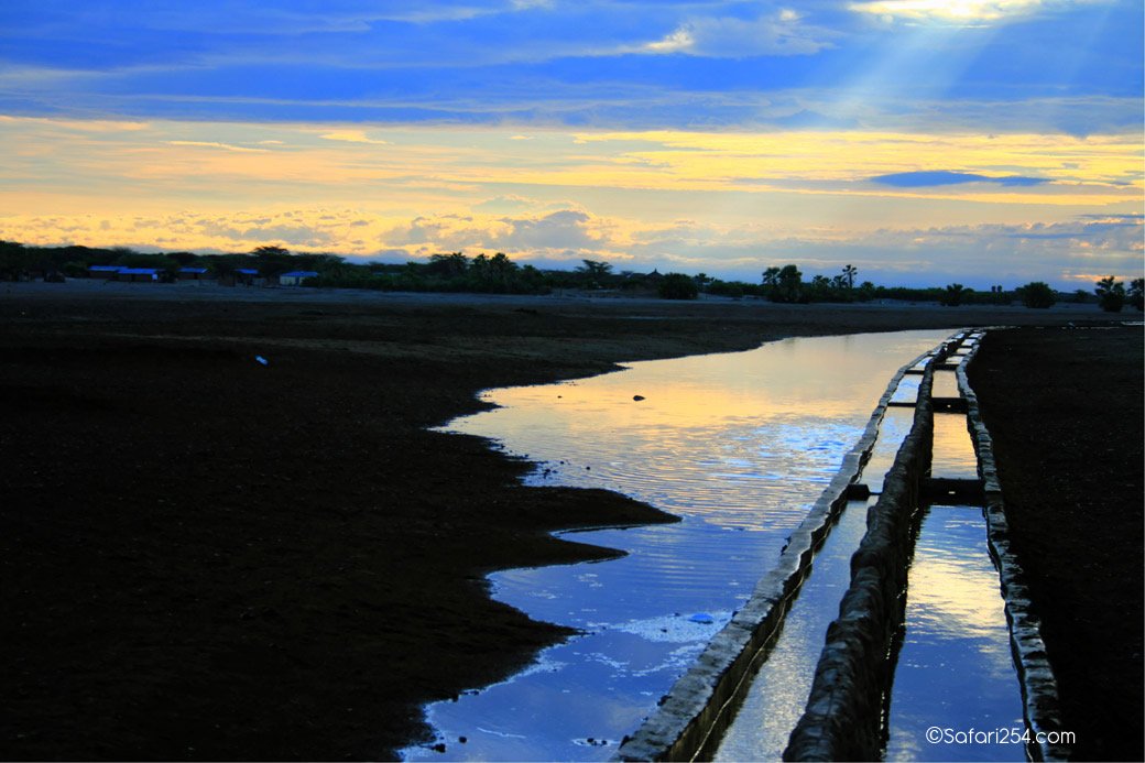 Northern Kenya_North Horr_camel trough