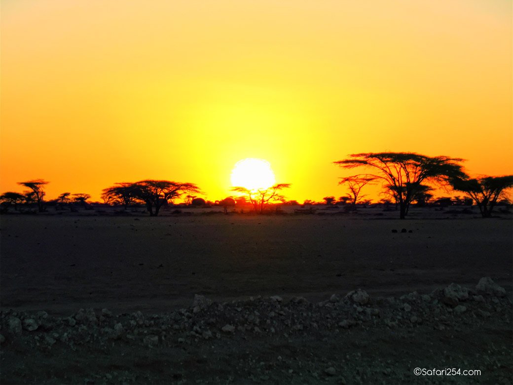 Northern Kenya_chalbi desert2