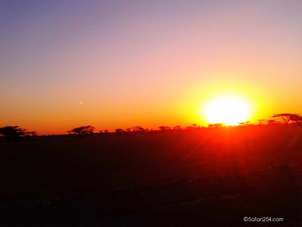 Northern Kenya_chalbi desert3
