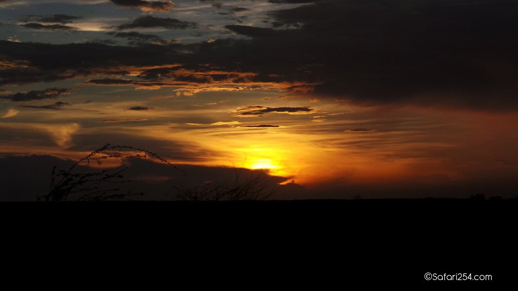 Northern Kenya_chalbi desert4