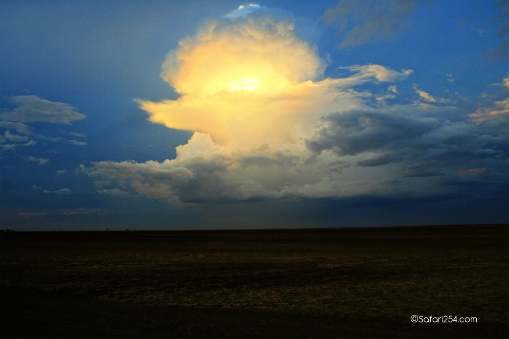Northern Kenya_chalbi desert6