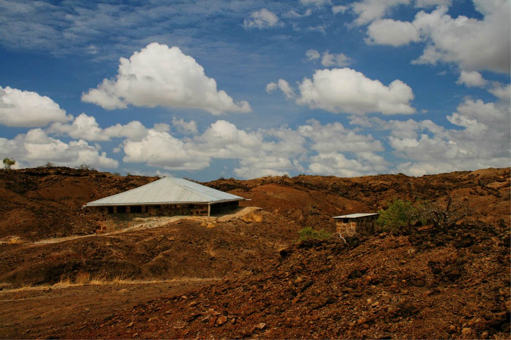 Elephant Fossil_Shed
