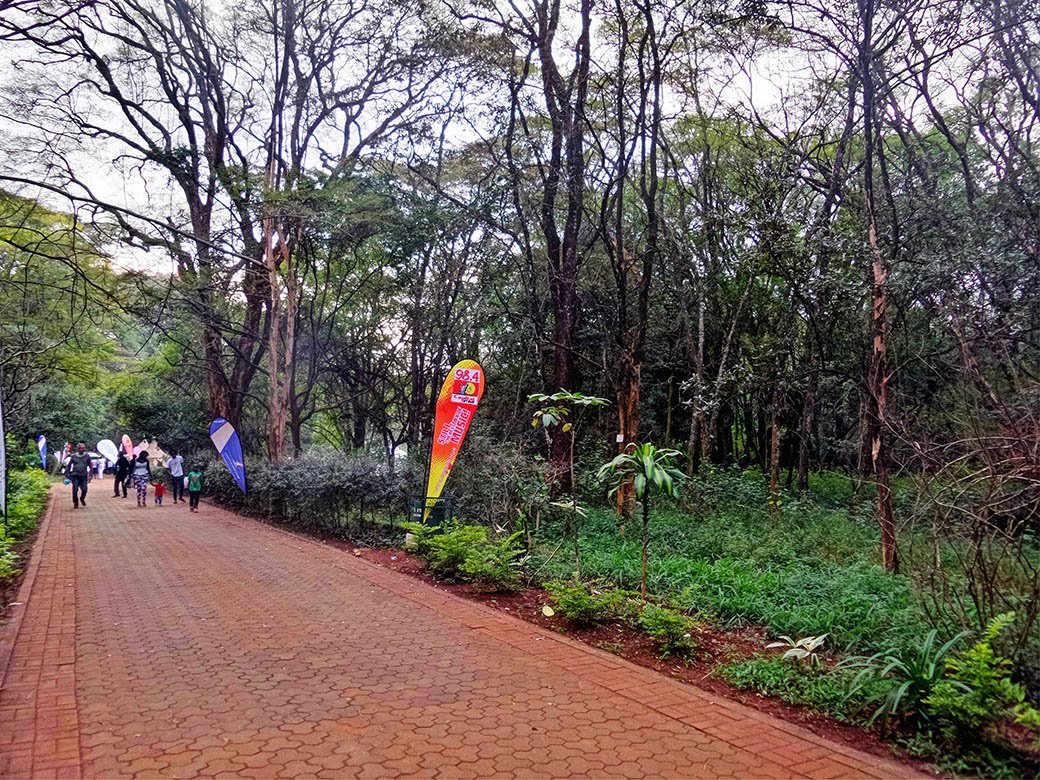 Koroga Festival_walkway