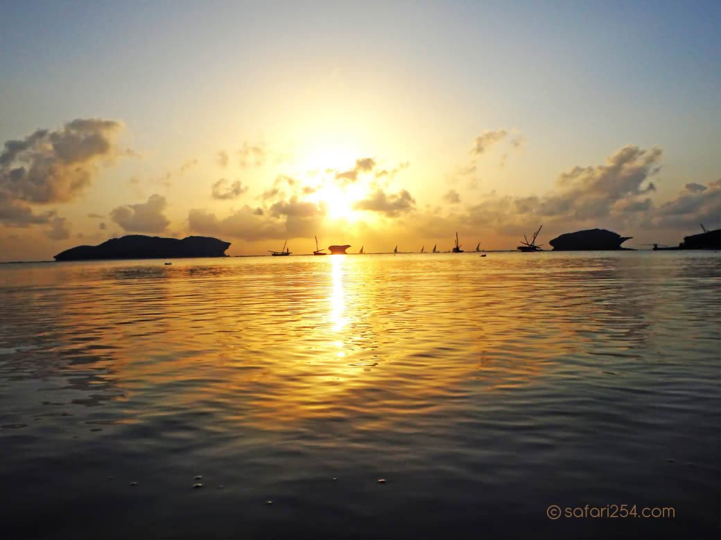 Watamu Beach_coral isolations