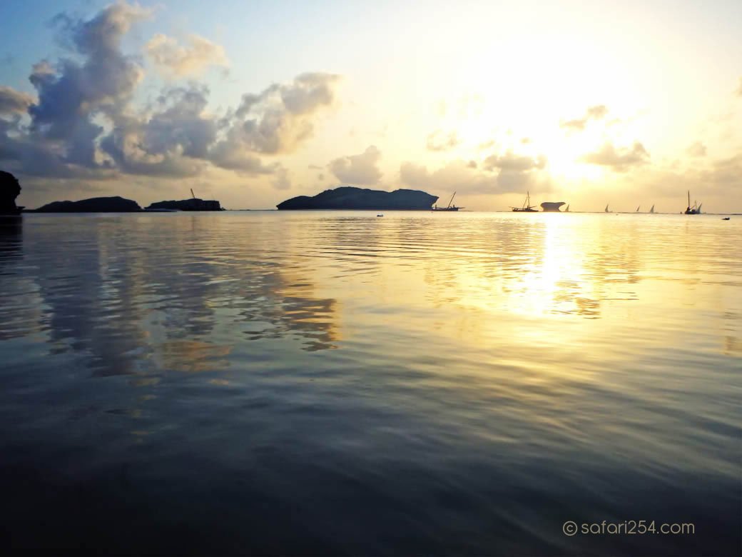 Watamu Beach_coral isolations2