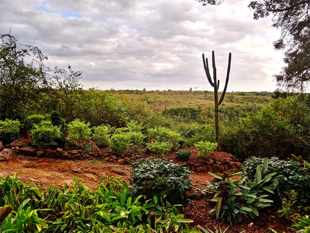 Masai Lodge_parking lot