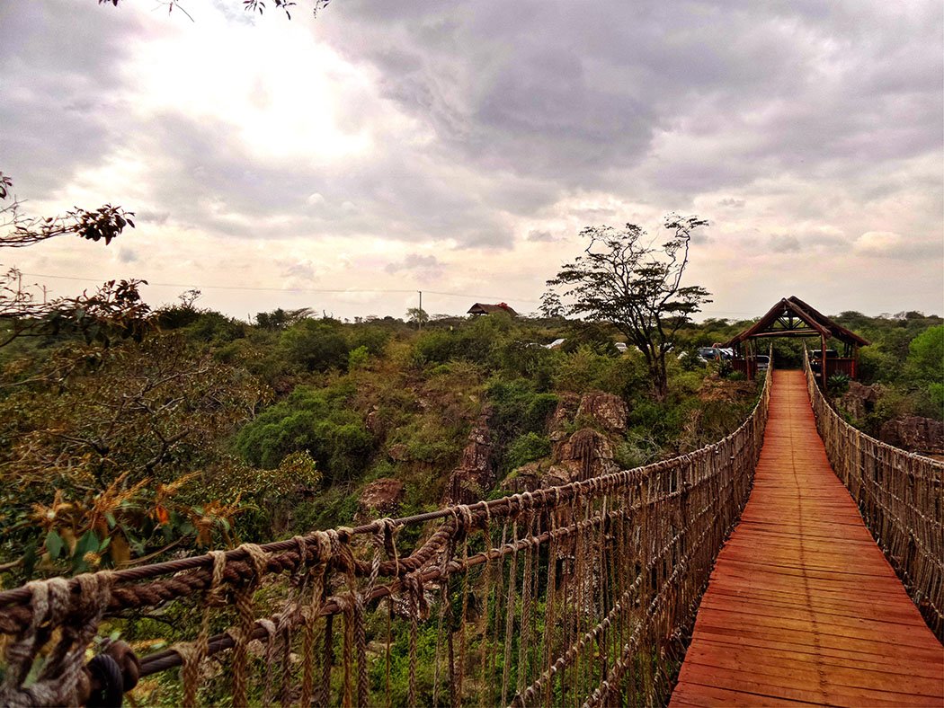 Rolf's Place_Bridge1