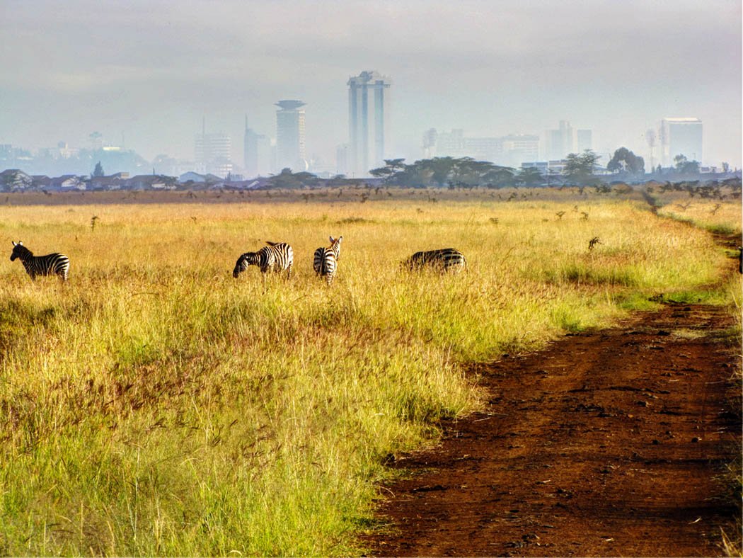 3 unmissable experiences Nairobi_Nairobi national park2