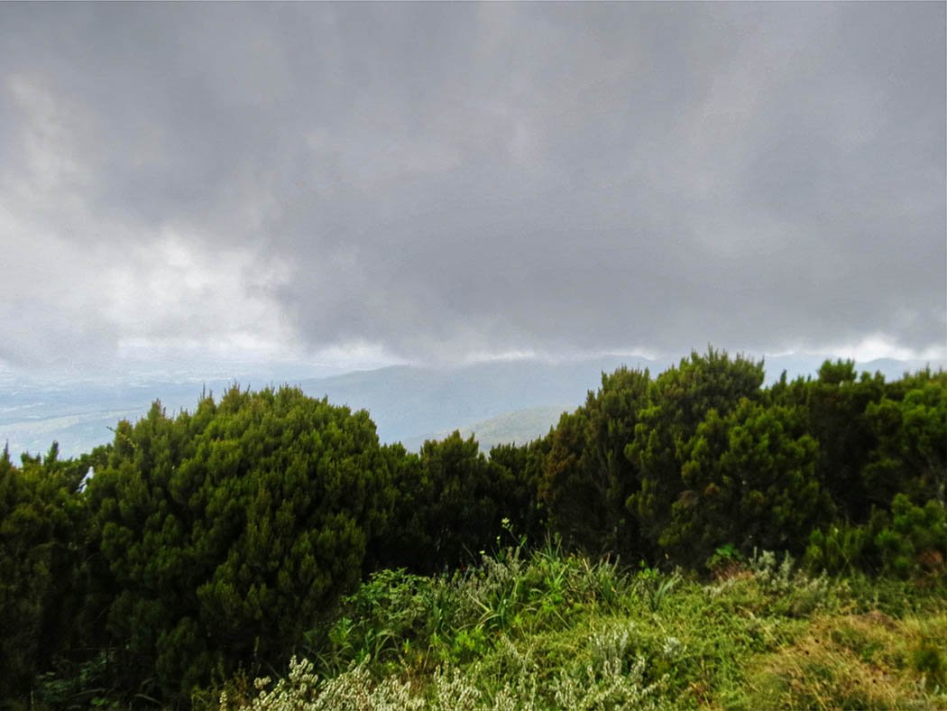 Elephant Hill Aberdares_ascent2