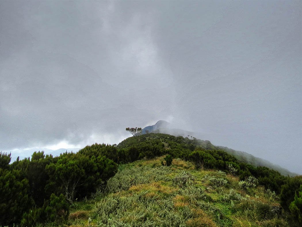 Elephant Hill Aberdares_ascent3