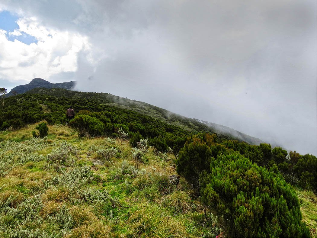 Elephant Hill Aberdares_top1