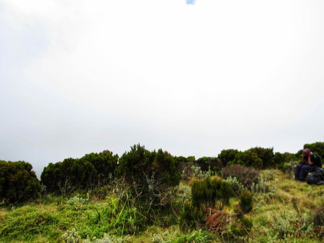 Elephant Hill Aberdares_top3