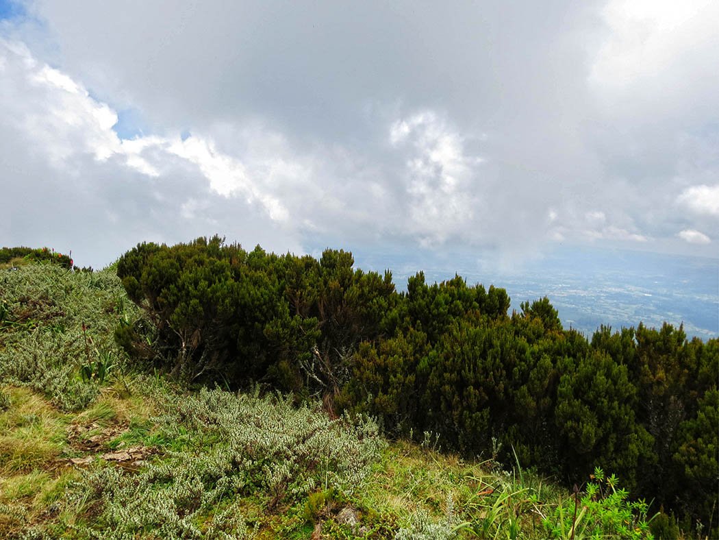 Elephant Hill Aberdares_top6