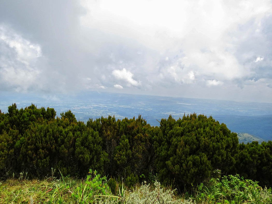 Elephant Hill Aberdares_top7