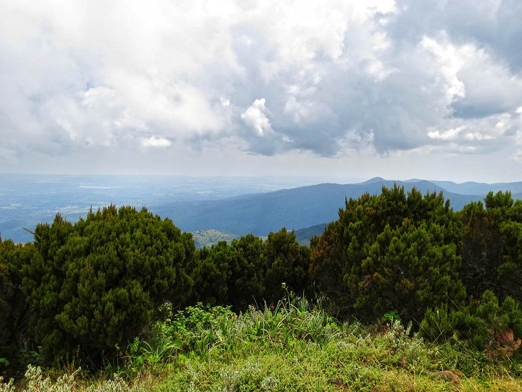 Elephant Hill Aberdares_top8