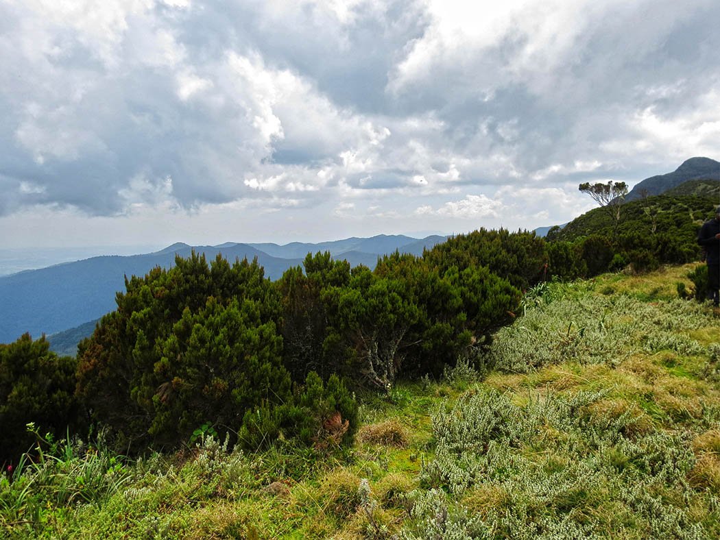 Elephant Hill Aberdares_top9