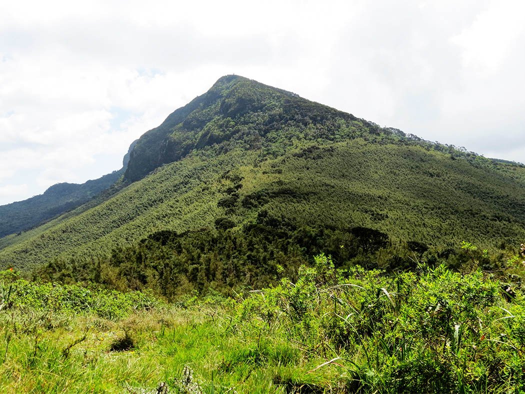 Elephant Hill Aberdares_view2