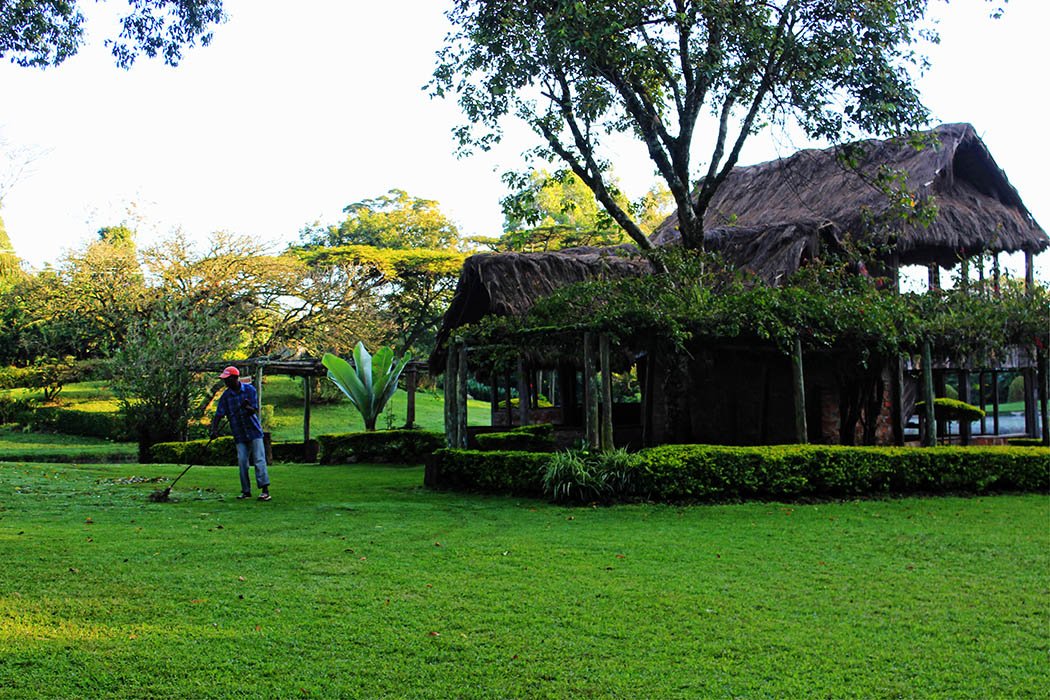 Unexpected Kenya_Kapsimotwa Gardens4