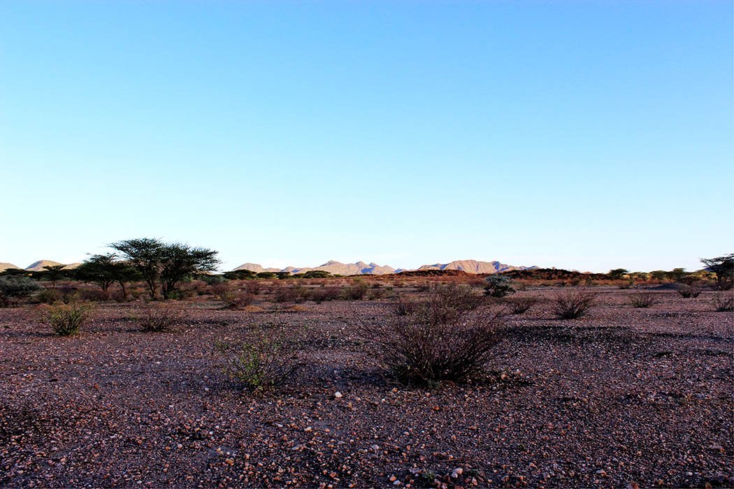 Unexpected Kenya_Scenery