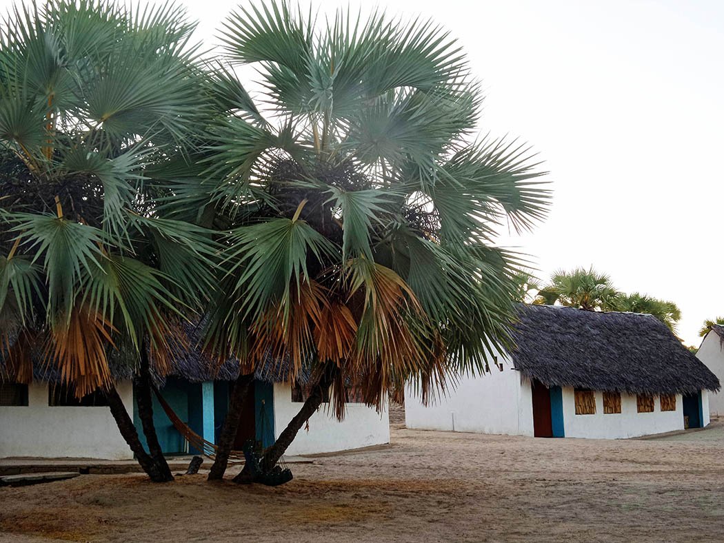 Eliye Springs Resort_Bomas1