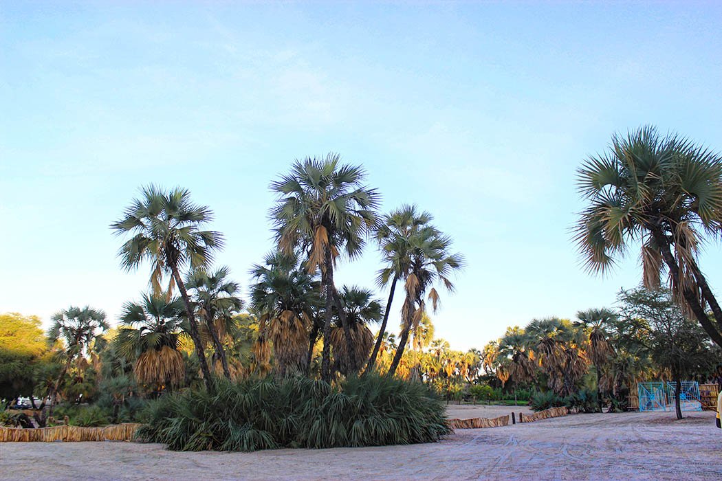 Eliye Springs Resort_Entrance