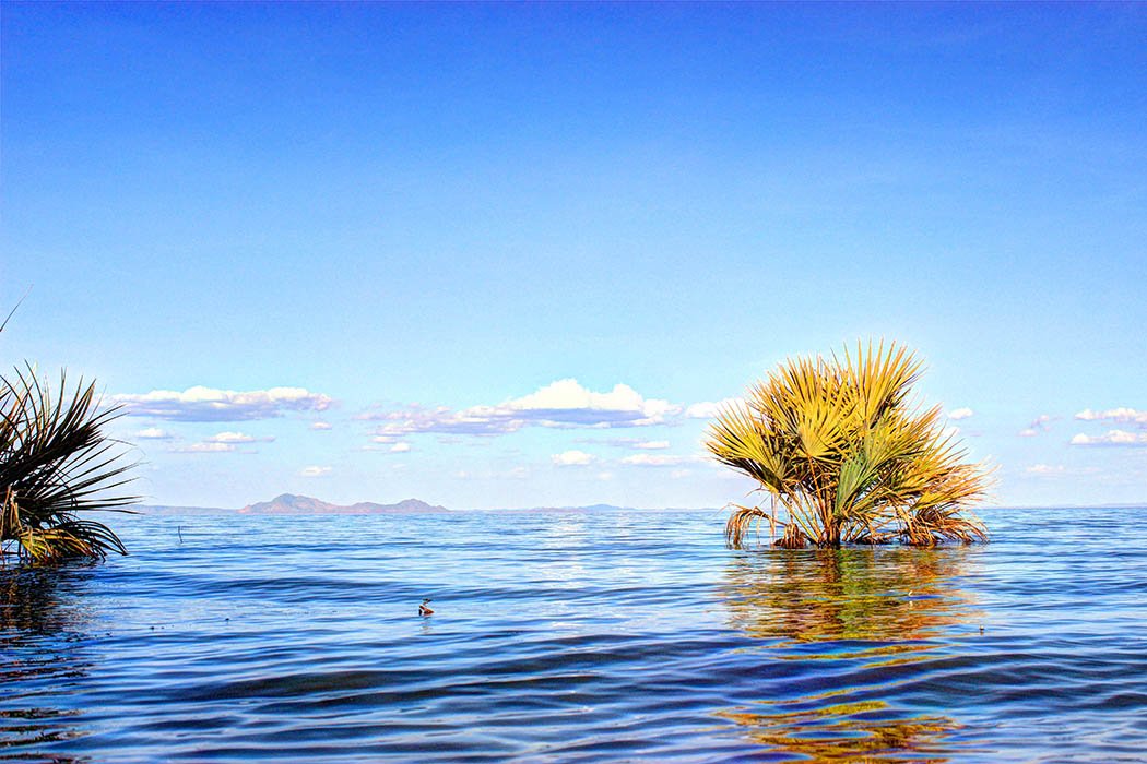 Eliye Springs Resort_Lake Turkana