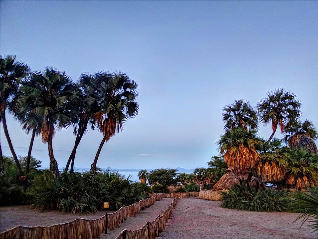 Eliye Springs Resort_Pathway1