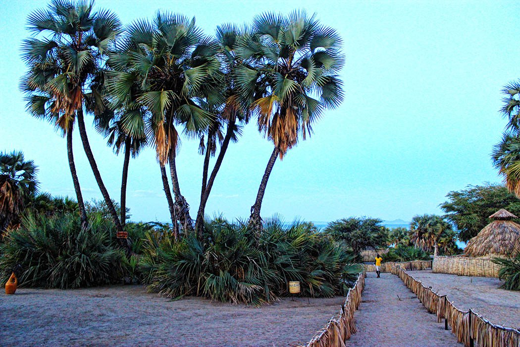 Eliye Springs Resort_Pathway2