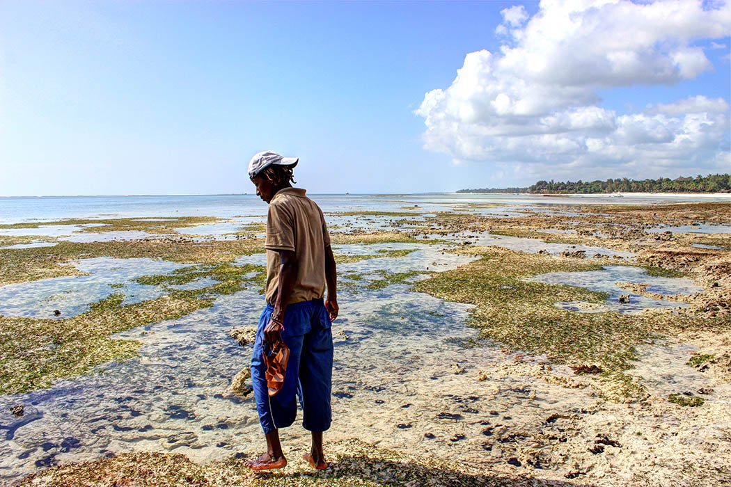 Sands at Nomad restaurant_Beach boy