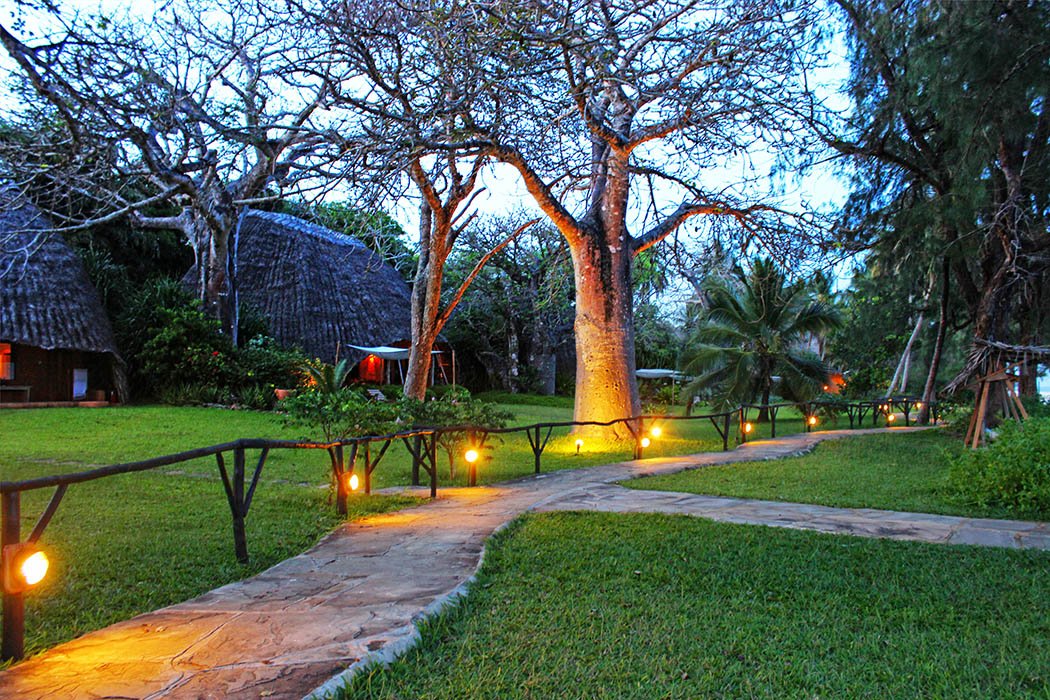 Sands at Nomad restaurant_baobab