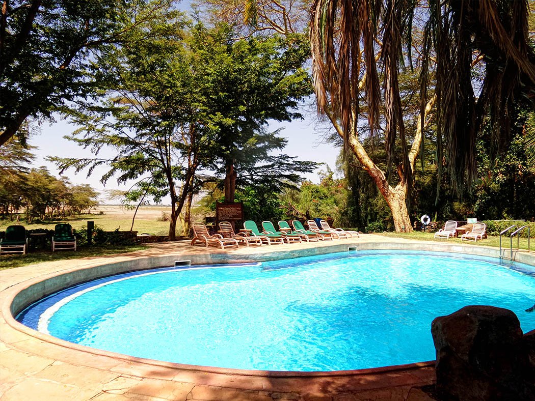 Amboseli Serena Safari Lodge_pool daytime